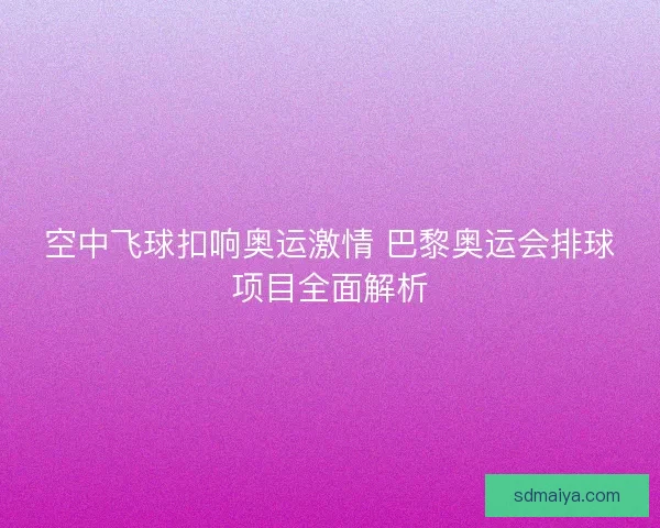 空中飞球扣响奥运激情 巴黎奥运会排球项目全面解析